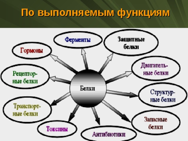  По выполняемым функциям 