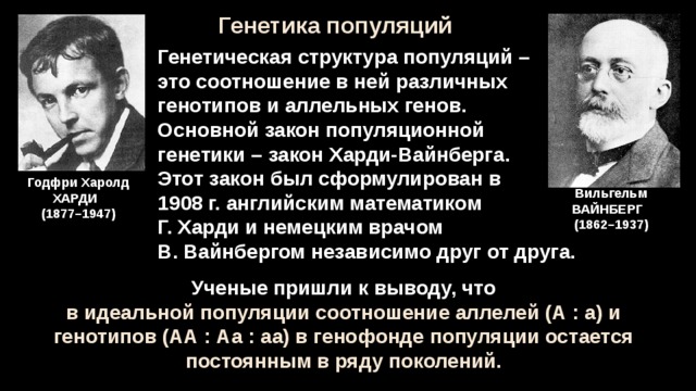 Генетический состав популяции 11 класс презентация