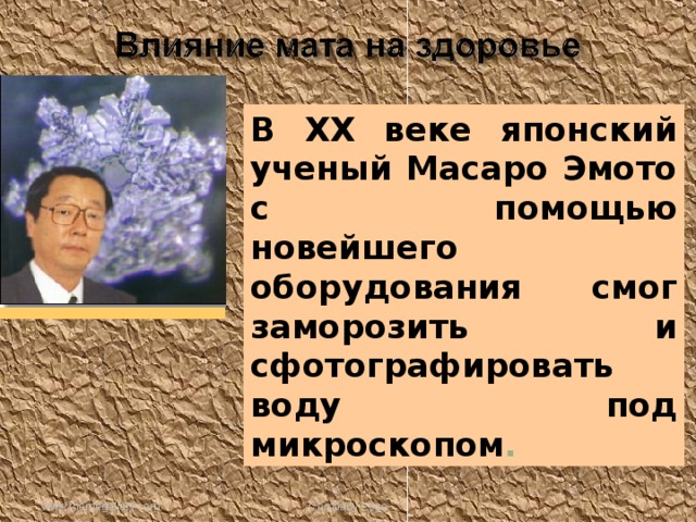 В XX веке японский ученый Масаро Эмото с помощью новейшего оборудования смог заморозить и сфотографировать воду под микроскопом . www.themegallery.com Company Logo 