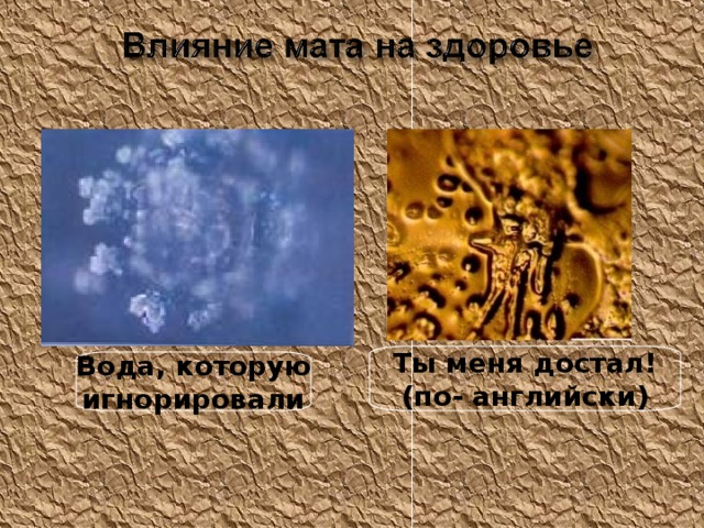 Ты меня достал!  (по- английски) Вода, которую игнорировали 