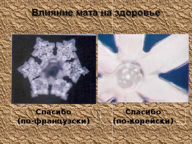 Спасибо  (по-французски) Спасибо  (по-корейски) 