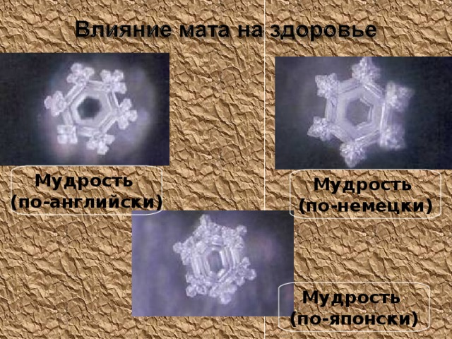 Мудрость (по-английски) Мудрость (по-немецки) Мудрость (по-японски) 