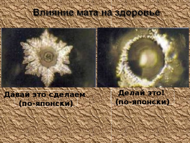 Делай это! (по-японски) Давай это сделаем (по-японски) 