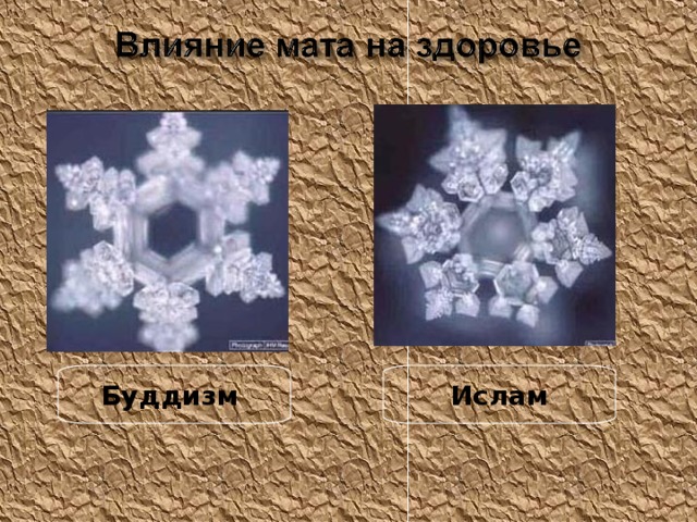 Буддизм Ислам 