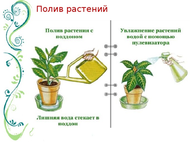 Полив растений 