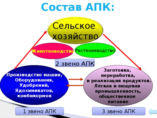 Состав АПК: Сельское хозяйство Животноводство Растениеводство  2 звено АПК  Производство машин, Оборудования, Заготовка, переработка, Удобрений,  и реализация продуктов. Ядохимикатов, Лёгкая и пищевая комбикормов промышленность, общественное питание  1 звено АПК 3 звено АПК 