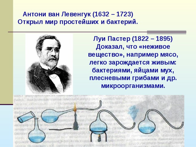 Мир простейших открыл. Луи Пастер самозарождение. Луи Пастер теория самозарождения. Луи Пастер самозарождение микроорганизмов. Эксперимент Луи Пастера с колбой.