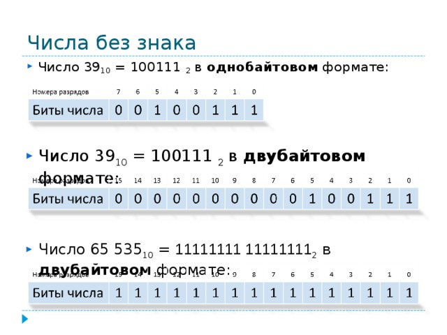 Формат числа 0. Однобайтовом формате. -2 В однобайтовом формате. Номера разрядов биты числа. Число 1910=100112 в однобайтовом формате:.