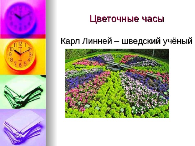 Цветочные часы карла линнея фото