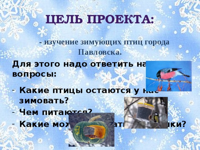 Какая птица не остается зимовать