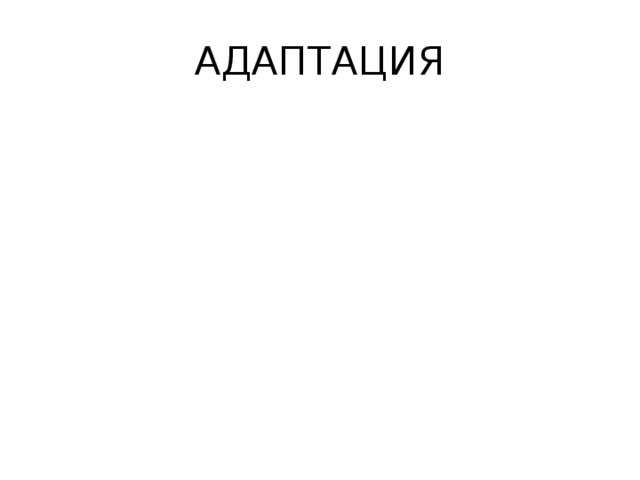 АДАПТАЦИЯ 