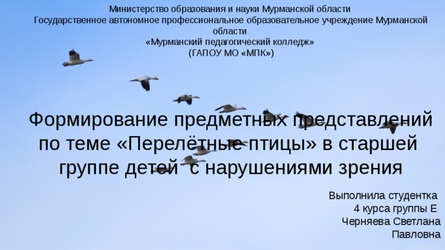 Министерство образования и науки Мурманской области  Государственное автономное профессиональное образовательное учреждение Мурманской области  «Мурманский педагогический колледж»  (ГАПОУ МО «МПК»)    Формирование предметных представлений по теме «Перелётные птицы» в старшей группе детей с нарушениями зрения Выполнила студентка 4 курса группы Е Черняева Светлана Павловна  
