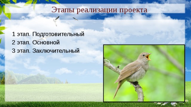 Этапы реализации проекта 1 этап. Подготовительный 2 этап. Основной 3 этап. Заключительный 