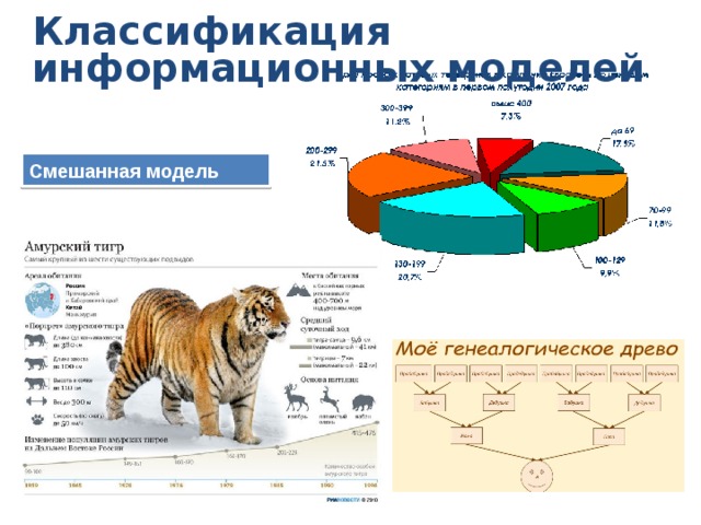 Классификация информационных моделей Смешанная модель 