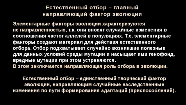 Естественный отбор – главный направляющий фактор эволюции Элементарные факторы эволюции характеризуются не направленностью , т.к. они вносят случайные изменения в соотношения частот аллелей в популяциях. Т.е. элементарные факторы создают материал для действия естественного отбора. Отбор подхватывает случайно возникшие полезные для данных условий среды мутации и насыщает ими генофонд, вредные мутации при этом устраняются. В этом заключается направляющая роль отбора в эволюции.  Естественный отбор – единственный творческий фактор эволюции, направляющим случайные наследственные изменения по пути формирования адаптаций (приспособлений). 