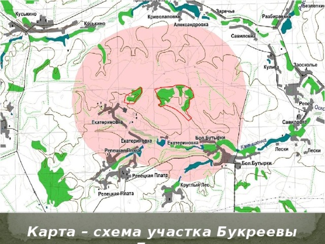 Карта – схема участка Букреевы Бармы 