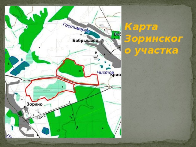 Карта Зоринского участка 