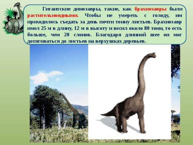 Проект про динозавров 3 класс