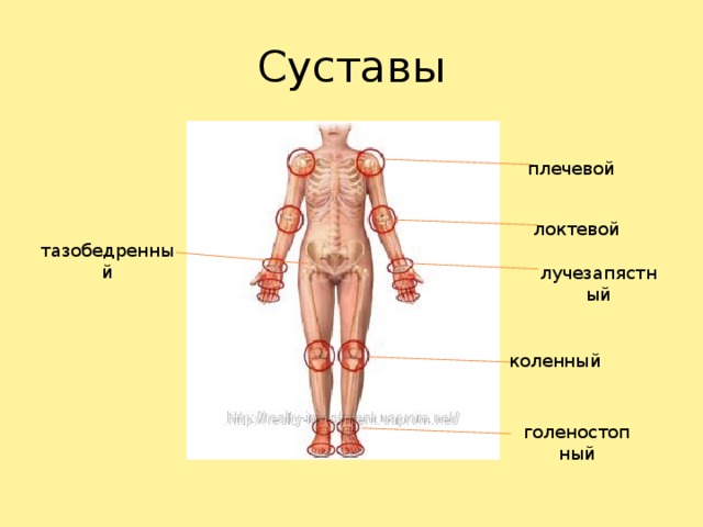 Конкурсно- игровая программа "Безопасное колесо"план-конспект занятия (1, 2, 3, 4 класс)