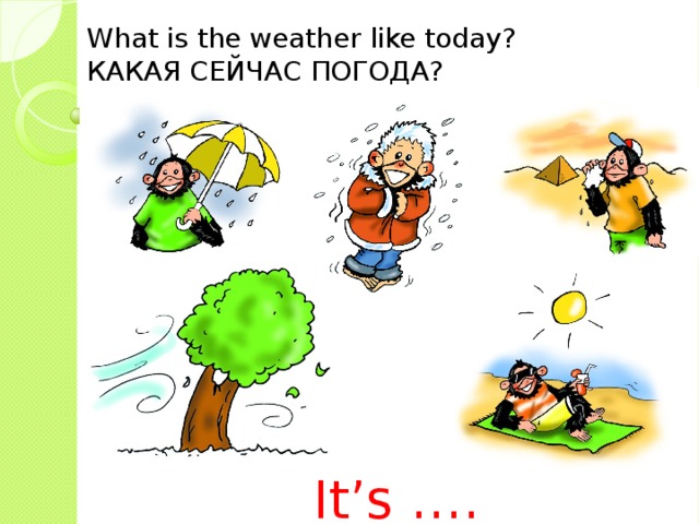 It s windy it s cold. What is the weather like. Spotlight 2 погода. Задание на тему what the weather like?. What the weather like today.