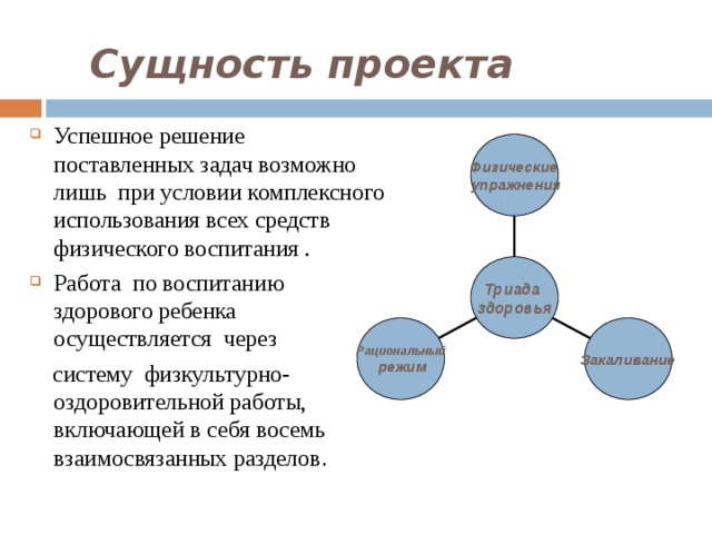 Сущность проекта пример