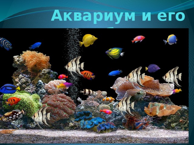 Аквариум проект 5 класс биология