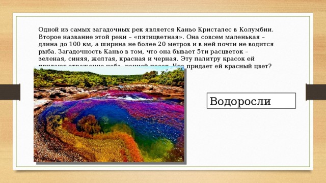 Одной из самых загадочных рек является Каньо Кристалес в Колумбии. Второе название этой реки – «пятицветная». Она совсем маленькая – длина до 100 км, а ширина не более 20 метров и в ней почти не водится рыба. Загадочность Каньо в том, что она бывает 5ти расцветок – зеленая, синяя, желтая, красная и черная. Эту палитру красок ей придают отражение неба, речной песок. Что придает ей красный цвет? Водоросли 