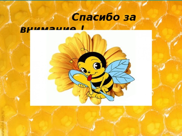  Спасибо за внимание ! 