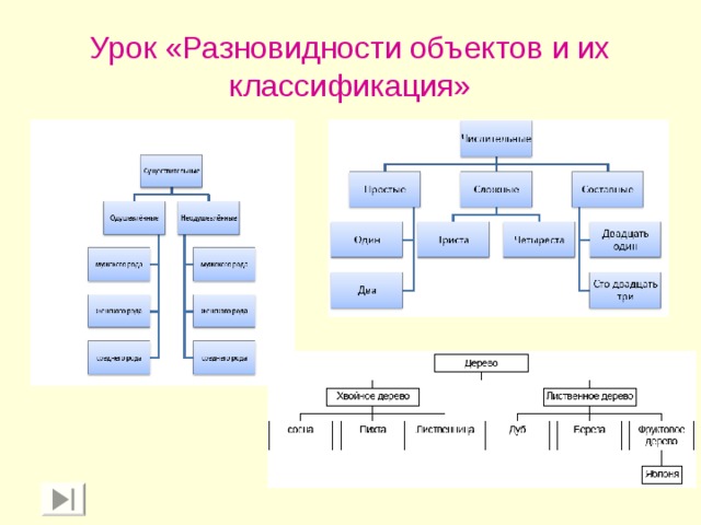 Объект разновидности. Классификация Информатика 6 класс. Разновидности объектов. Виды классификации объектов. Классификация объектов Информатика.