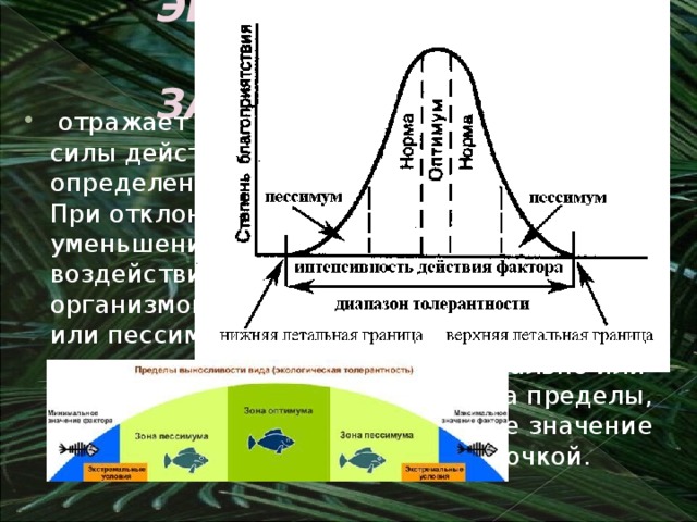 Закон оптимума презентация 9 класс