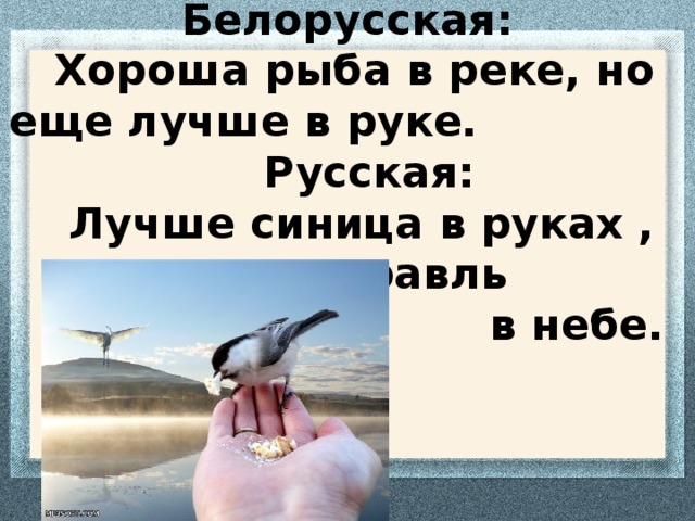 Лучше синица в руках чем утка под кроватью картинки