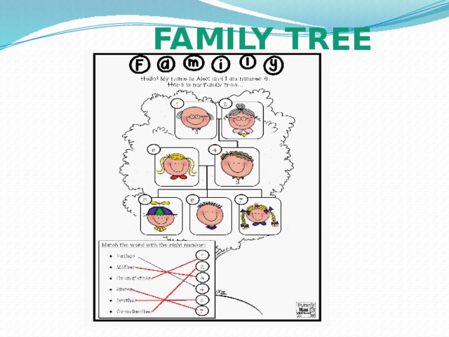  FAMILY TREE 