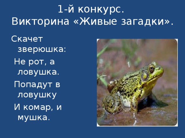 Прямо таки загадка живой природы. 5 Загадок о живых организмах. Скачет зверюшка не рот а ЛОВУШКА попадут в ЛОВУШКУ И комар и мушка. Попадёт в ЛОВУШКА загадка. 5 Ног не живое загадка.