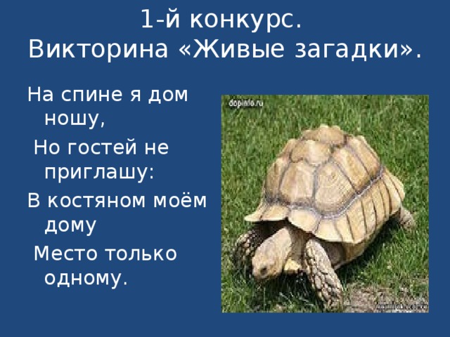 Загадка жив. Загадки о живых существах. Экологическая игра Живая Планета. Викторина «живые загадки природы». Внеклассное мероприятие по окружающему миру.