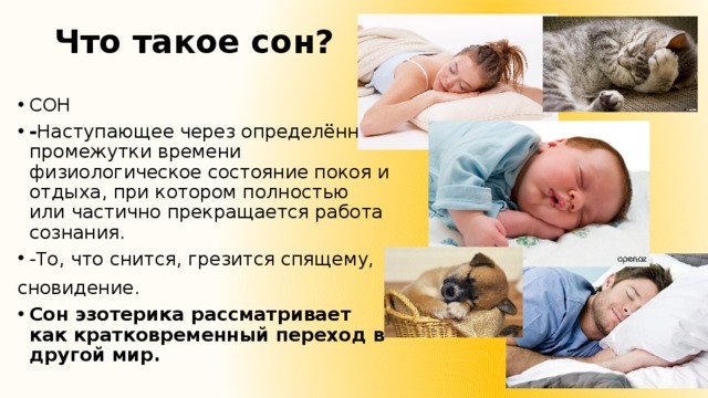 Мотив вещего сна в балладе светлана. img s628633 0 15. Мотив вещего сна в балладе светлана фото. Мотив вещего сна в балладе светлана-img s628633 0 15. картинка Мотив вещего сна в балладе светлана. картинка img s628633 0 15. В произведениях мировой и русской литературы сон выполняет самые различные функции. Это сон-портрет, который создаёт картину внутренней жизни героя. Сон-иносказание, подготавливающий читателя к последующим событиям сюжетной линии. Сон-дополнение, который делает сюжет более сложным и разнообразным, наслаивая на уже существующую реальность новую реальность: как правило, в этой новой реальности разрешается конфликт, который остался неразрешенным в действительной жизни.