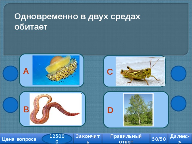 Какие из названных. В двух средах обитает. Организмы одновременно обитающие в нескольких средах. Обитатели которые обитают в нескольких средах. Организмы которые обитают в средах.