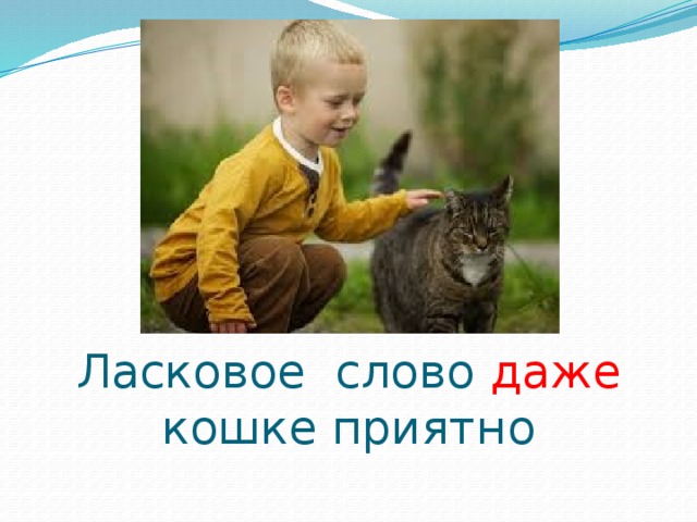 Слово даже. Ласковое слово даже кошке приятно. Даже кошке приятно доброе слово. Доброе слово и кошке приятно картинки. Ласковое слово и кошке приятно картинки.