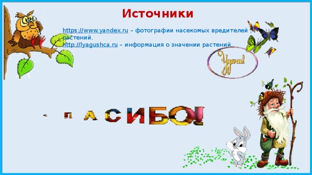 Источники https:// www.yandex.ru – фотографии насекомых вредителей , растений. http:// lyagushca.ru – информация о значении растений. 