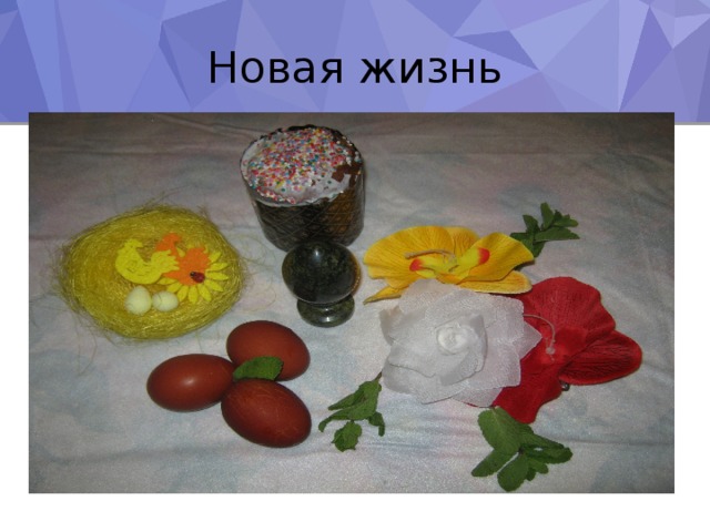 Новая жизнь 