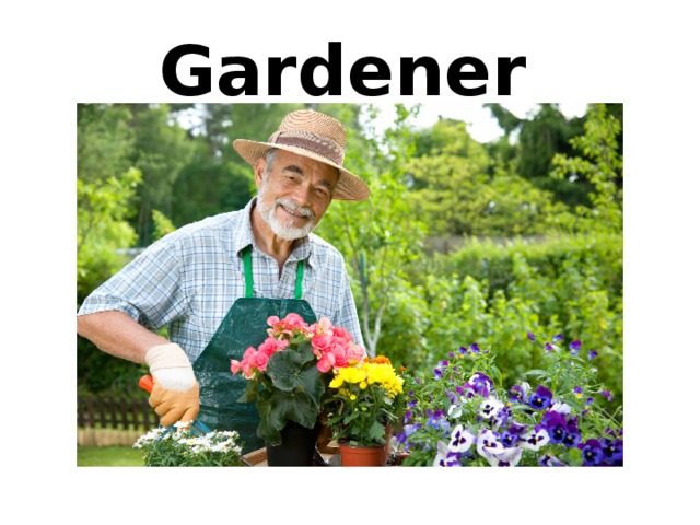Gardener 