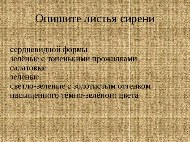 Опишите листья сирени сердцевидной формы зелёные с тоненькими прожилками салатовые зеленые светло-зеленые с золотистым оттенком насыщенного тёмно-зелёного цвета 