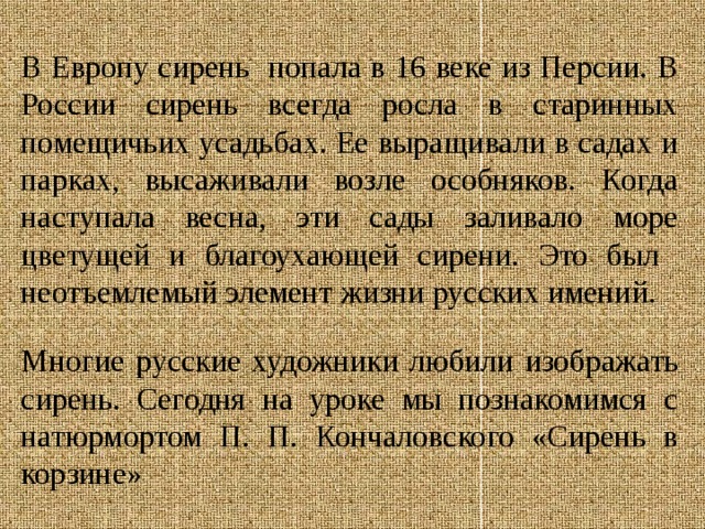 В Европу сирень попала в 16 веке из Персии. В России сирень всегда росла в старинных помещичьих усадьбах. Ее выращивали в садах и парках, высаживали возле особняков. Когда наступала весна, эти сады заливало море цветущей и благоухающей сирени. Это был  неотъемлемый элемент жизни русских имений. Многие русские художники любили изображать сирень. Сегодня на уроке мы познакомимся с натюрмортом П. П. Кончаловского «Сирень в корзине» 