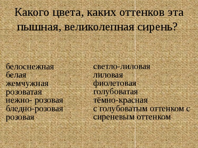 Какого цвета, каких оттенков эта пышная, великолепная сирень? светло-лиловая лиловая фиолетовая голубоватая тёмно-красная с голубоватым оттенком с сиреневым оттенком белоснежная белая жемчужная розоватая нежно- розовая бледно-розовая розовая 