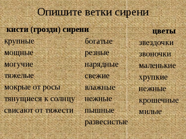 Опишите ветки сирени кисти (грозди) сирени крупные мощные могучие тяжелые мокрые от росы тянущиеся к солнцу свисают от тяжести цветы звездочки звоночки маленькие хрупкие нежные крошечные милые богатые резные нарядные свежие влажные нежные пышные развесистые 