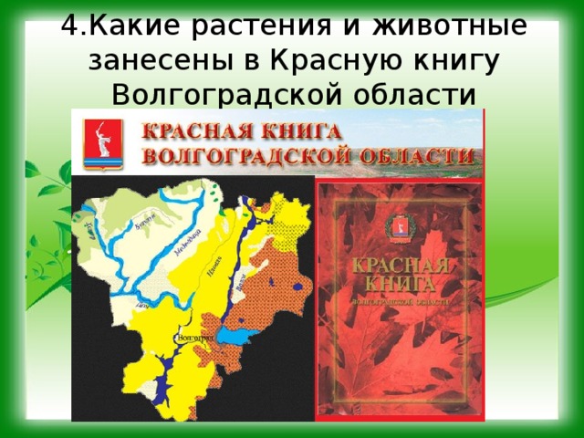 Волгоградская красная книга. Красная книга Волгоградской области книга. Красная книга Волгоградской области книга растения и животные. Красная книга Волгоградской области плакат. Красная книга Волгоградской области растения и животные.