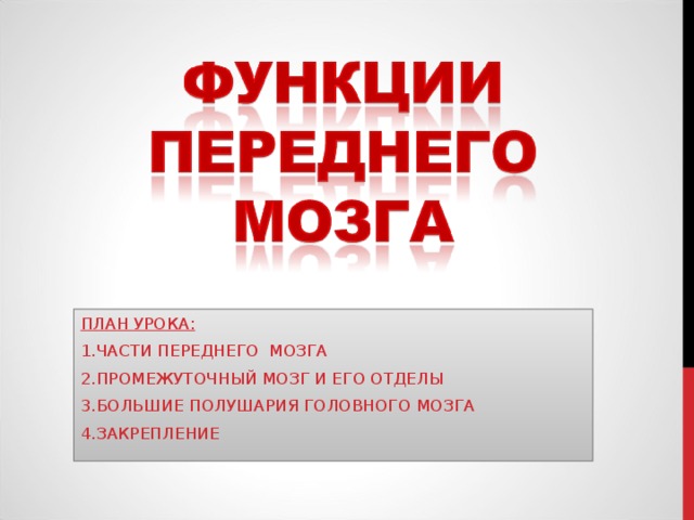 ПЛАН УРОКА: ЧАСТИ ПЕРЕДНЕГО МОЗГА ПРОМЕЖУТОЧНЫЙ МОЗГ И ЕГО ОТДЕЛЫ БОЛЬШИЕ ПОЛУШАРИЯ ГОЛОВНОГО МОЗГА ЗАКРЕПЛЕНИЕ   