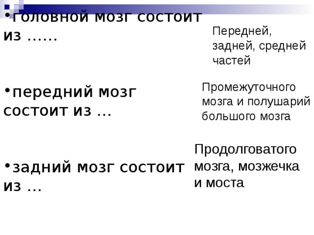 головной мозг состоит из ……   передний мозг состоит из …   задний мозг состоит из … Передней, задней, средней частей Промежуточного мозга и полушарий большого мозга Продолговатого мозга, мозжечка и моста 