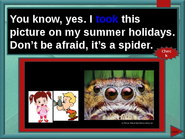 You know, yes. I (take) this picture on my summer holidays. Don’t be afraid, it’s a spider. You know, yes. I took this picture on my summer holidays. Don’t be afraid, it’s a spider. Check by Thomas Shahan http://thomasshahan.com next 