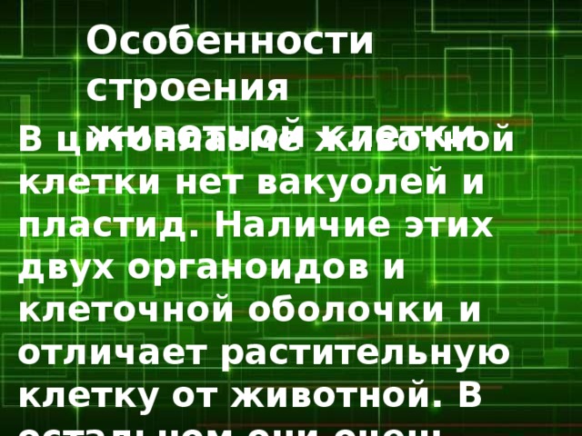 Особенности строения животной клетки В цитоплазме животной клетки нет вакуолей и пластид. Наличие этих двух органоидов и клеточной оболочки и отличает растительную клетку от животной. В остальном они очень похожи. 