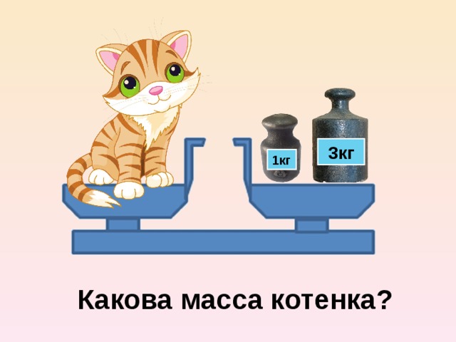 Котенок весы. Какова масса котенка. Кот на массе. Котенок весом 1кг. Узнать массу одного котенка.